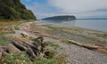 Driftwood on the shore of Shine Tidelands State Park on Bywater Bay near Port Ludlow in the Puget Sound in Washington State Royalty Free Stock Photo