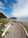 Driftwood on the shore of Shine Tidelands State Park on Bywater Bay near Port Ludlow in the Puget Sound in Washington State Royalty Free Stock Photo