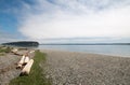 Driftwood on the shore of Shine Tidelands State Park on Bywater Bay near Port Ludlow in the Puget Sound in Washington State Royalty Free Stock Photo