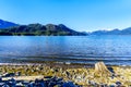 Driftwood on the shores of Pitt Lake with the Snow Capped Peaks of the Golden Ears Mountains Royalty Free Stock Photo