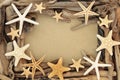 Driftwood and Starfish Seashell Abstract Background