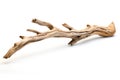 Driftwood Stick Isolated, Sea Wood Branch, Drift Wood Royalty Free Stock Photo