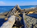 Driftwood strewn on the shore of Island View Beach, Vancouver Island Royalty Free Stock Photo