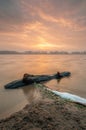Driftwood with sunrise Royalty Free Stock Photo