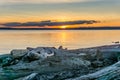 Driftwood Sunset Scene 2 Royalty Free Stock Photo