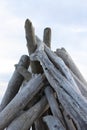 Driftwood TeePee Royalty Free Stock Photo