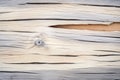 driftwood texture with grooves