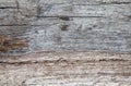 Driftwood texture