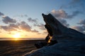 Driftwood trunk under sunset light in Ocean Shores Royalty Free Stock Photo