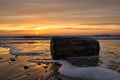 Driftwood washed on the sea shore by splashing waves during sunset in Ringkobing, Denmark Royalty Free Stock Photo