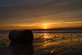 Driftwood washed on the sea shore by splashing waves during a sunset in Ringkobing, Denmark Royalty Free Stock Photo