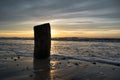 Driftwood washed on the sea shore by splashing waves during a sunset in Ringkobing, Denmark Royalty Free Stock Photo