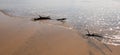 Driftwood in the water at Cerritos Beach surf spot in Baja California in Mexico Royalty Free Stock Photo