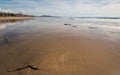 Driftwood in the water at Cerritos Beach surf spot in Baja California in Mexico Royalty Free Stock Photo