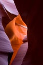 Driftwood wedged between narrow sandstone walls, Lower Antelope Canyon