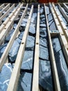 Drill core trays from gold deposit Royalty Free Stock Photo