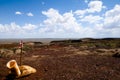 Drilling Field for Mining Exploration - Pilbara - Australia