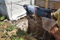 Drilling a hole in the concrete wall with a jackhammer, perforator in operation Royalty Free Stock Photo