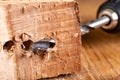 Drilling holes in raw wood. Carpentry drill in a carpentry workshop