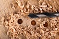 Drilling holes in raw wood. Carpentry drill in a carpentry workshop