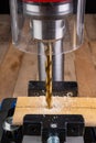 Drilling in wood with professional tools. Work on a bench drill Royalty Free Stock Photo