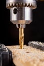 Drilling in wood with professional tools. Work on a bench drill Royalty Free Stock Photo