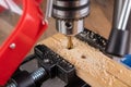 Drilling in wood with professional tools. Work on a bench drill Royalty Free Stock Photo