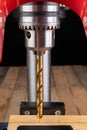 Drilling in wood with professional tools. Work on a bench drill Royalty Free Stock Photo