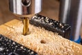 Drilling in wood with professional tools. Work on a bench drill Royalty Free Stock Photo