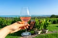 Drining rose wine over Lake Balaton in Csopak Hungary