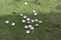 drink bottle caps scattered on the grass Royalty Free Stock Photo