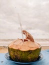 Drink coconut for fresh body