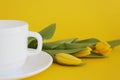 White cup of tea on a yellow background with yellow tulips