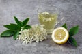 Drink from elder flowers Royalty Free Stock Photo