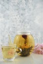 Drink of flowering tea in glass teapot with cup Royalty Free Stock Photo