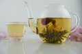 Drink of flowering tea in glass teapot with poured cup in background Royalty Free Stock Photo