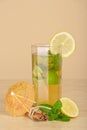 Drink glass, slice of lemon and cinnamon stick Royalty Free Stock Photo