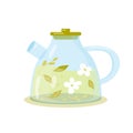 Drink. Glass teapot. Herbal medicinal tea. Vector illustration, clip-art