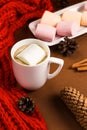 Drink hot chocolate with marshmallow near pine cones, red scarf Royalty Free Stock Photo