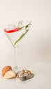 Drink in martini glass, martini drink with pepper,seashells, ice Royalty Free Stock Photo