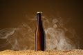 Drink mockup series. Brown beer bottle with reflections that stands on corns of wheat on a umber studio background with light Royalty Free Stock Photo