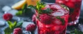 drink with raspberry, mint leaves and lemon, clean-lined Royalty Free Stock Photo