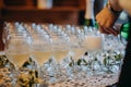 Drink reception with served champagne glasses Royalty Free Stock Photo