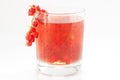 Drink red currant Royalty Free Stock Photo