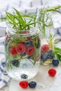 Drink of ripe blueberry, raspberry and tarragon. Royalty Free Stock Photo