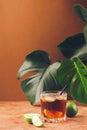 A drink of rum or cola ice cubes and juicy lime in glass goblets against background tropical green leaves. Copy space. Royalty Free Stock Photo