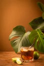 A drink of rum or cola ice cubes and juicy lime in glass goblets against background tropical green leaves. Copy space. Royalty Free Stock Photo