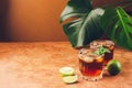 A drink of rum or cola ice cubes juicy lime in glass goblets against a background of tropical green leaves. Copy space. Royalty Free Stock Photo