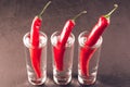 Drink set with shots of vodka and red pepper/Drink set with shots of vodka and red pepper on a dark stone background. Selective Royalty Free Stock Photo