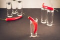 Drink set with shots of vodka and red pepper/Drink set with shot Royalty Free Stock Photo